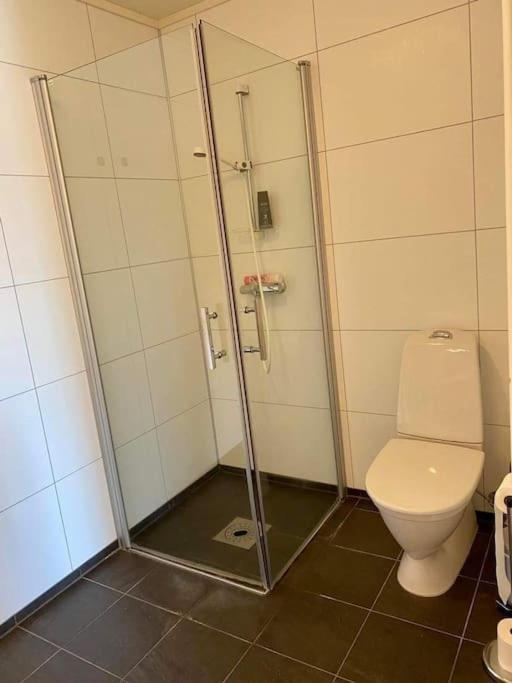 Leilighet Sentralt Pa Senja Silsand Dış mekan fotoğraf